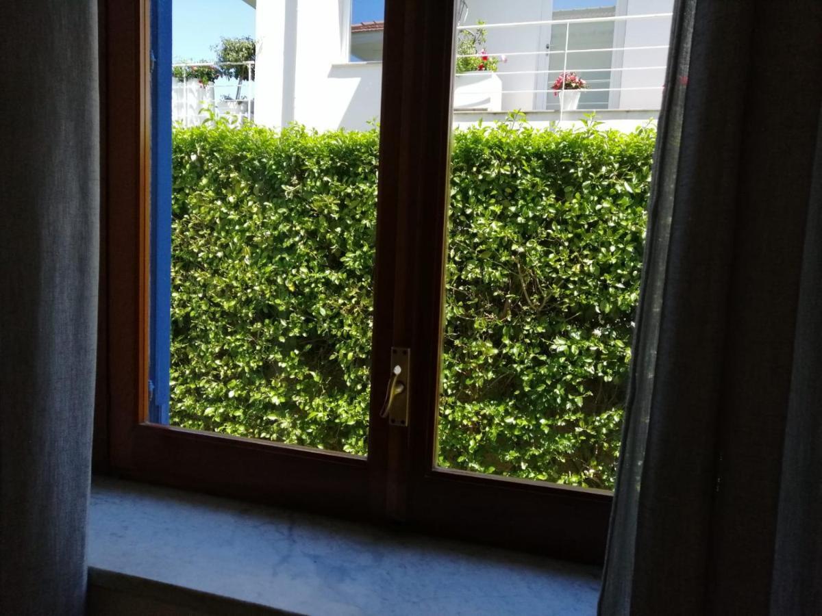 Mondello Beach The House With Green Lawnsヴィラ エクステリア 写真